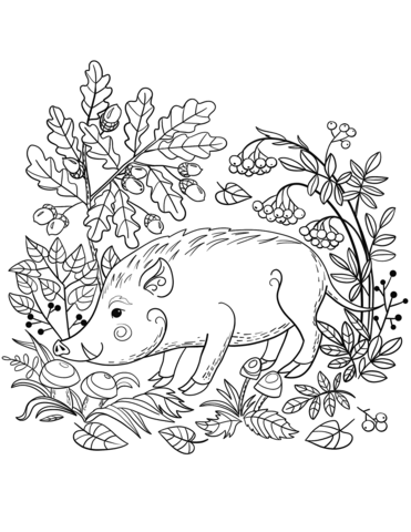 Wild Boar In The Forest Coloring Page